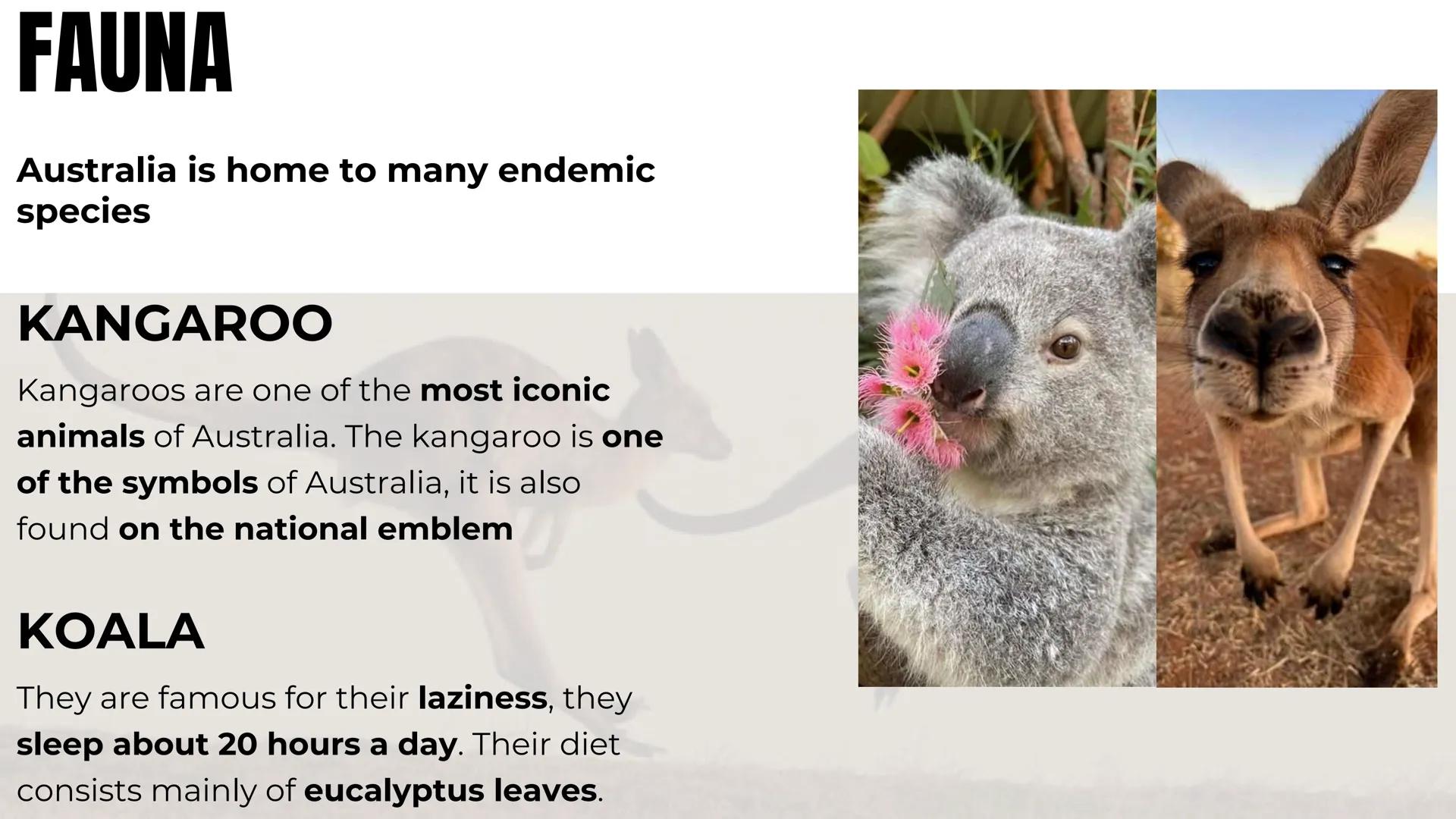 # AUSTRALIA # GEOGRAPHY OF AUSTRALIA
- It is located in the Southern Hemisphere
- It is an island, surrounded by Indian and Pacific oceans