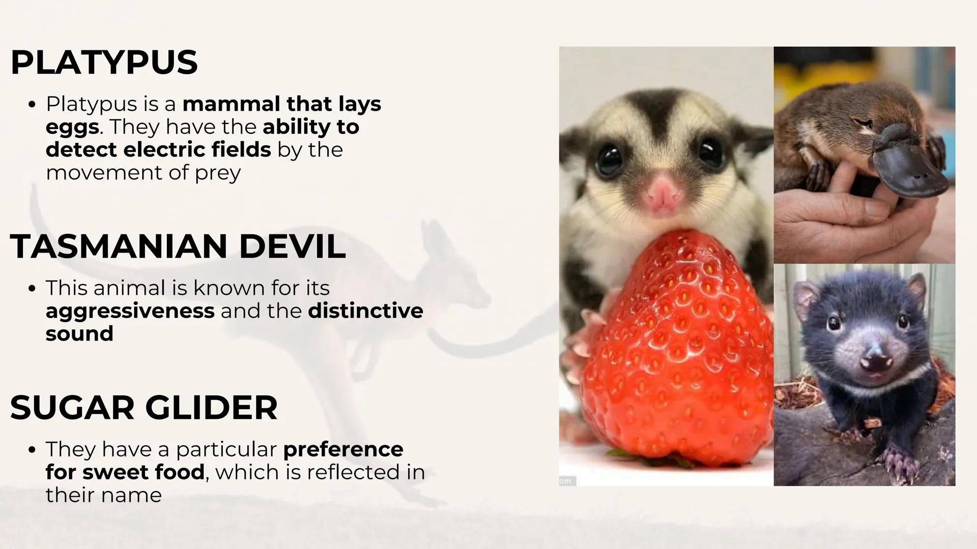 # AUSTRALIA # GEOGRAPHY OF AUSTRALIA
- It is located in the Southern Hemisphere
- It is an island, surrounded by Indian and Pacific oceans