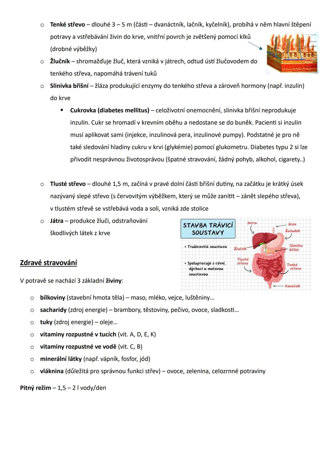 # Trávicí soustava
* Funkce trávicí soustavy: příjem potravy, její mechanické (rozmělnění) a chemické (pomocí enzymů)
rozštěpení na z