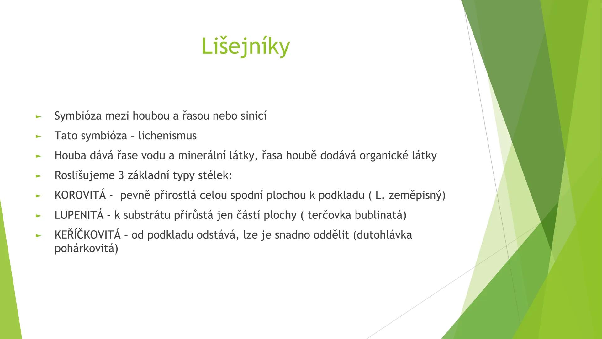 # Houby a lišejníky # Obecná charakteristika
- Eukaryotické, heterotrofní organismy
- Základní stavební jednotkou = hyfy -> houbová vlákna