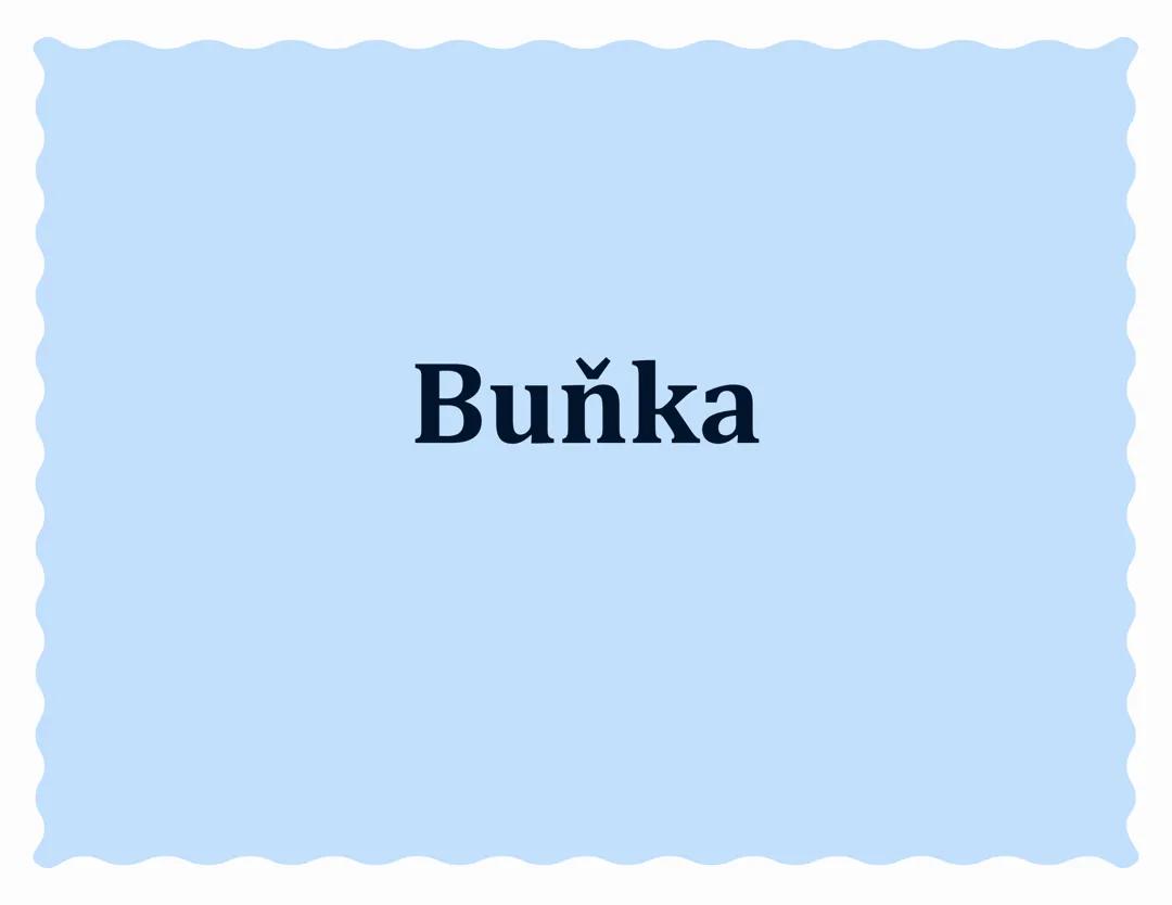 Buňka