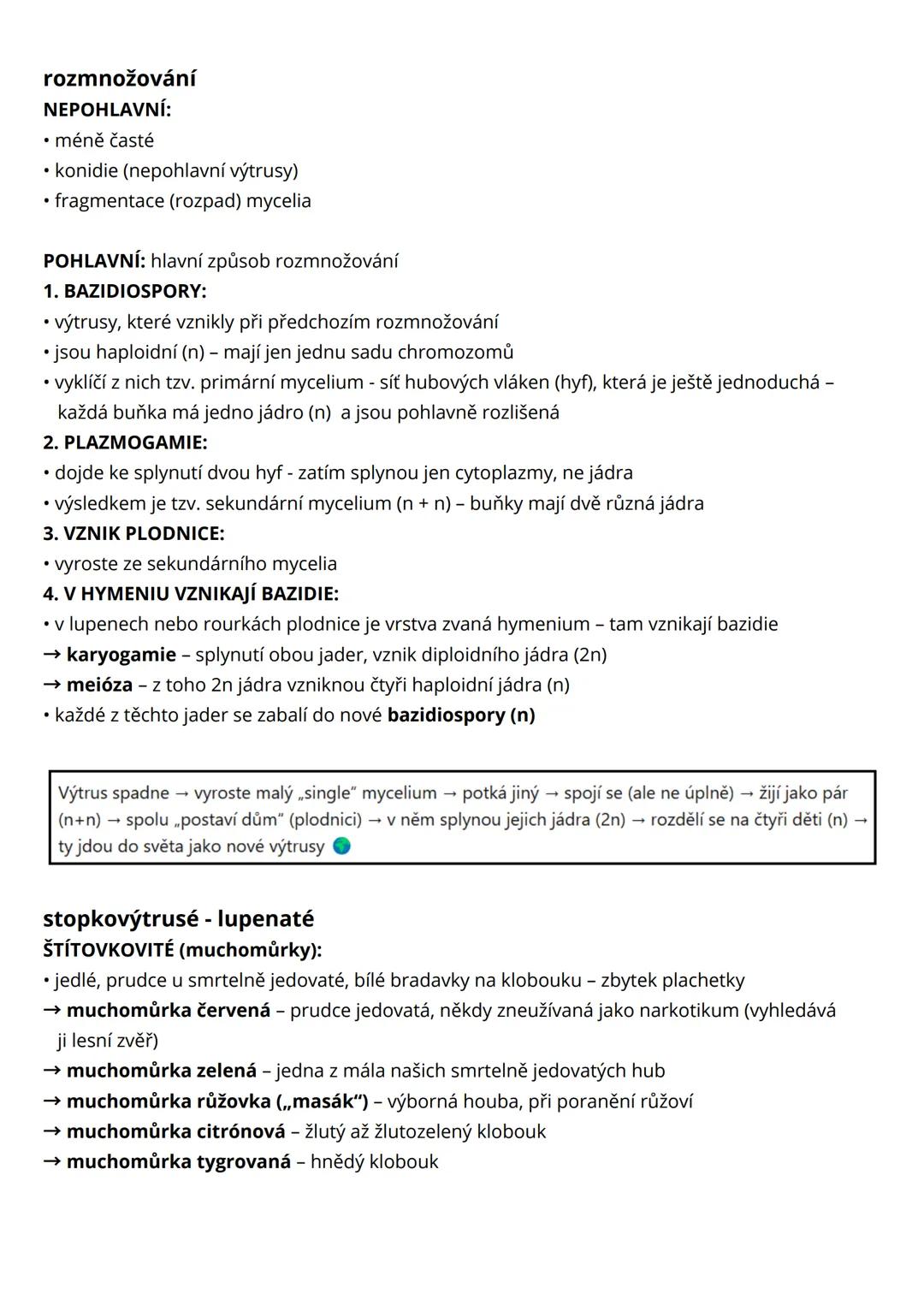 --- OCR Start ---
houby a lišejníky
• mykologie = věda zabývající se studiem hub
• jednobuněčné i mnohobuněčné organismy + makroskopické i m