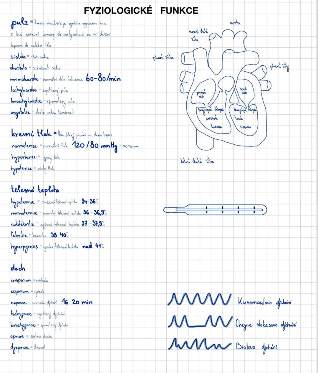## FYZIOLOGICKÉ FUNKCE
pulz = tlaková vlna, která je vyvolána vypuzením krve
z levé srdeční komory do aorty, odtud se šíří dalšími
tepnami