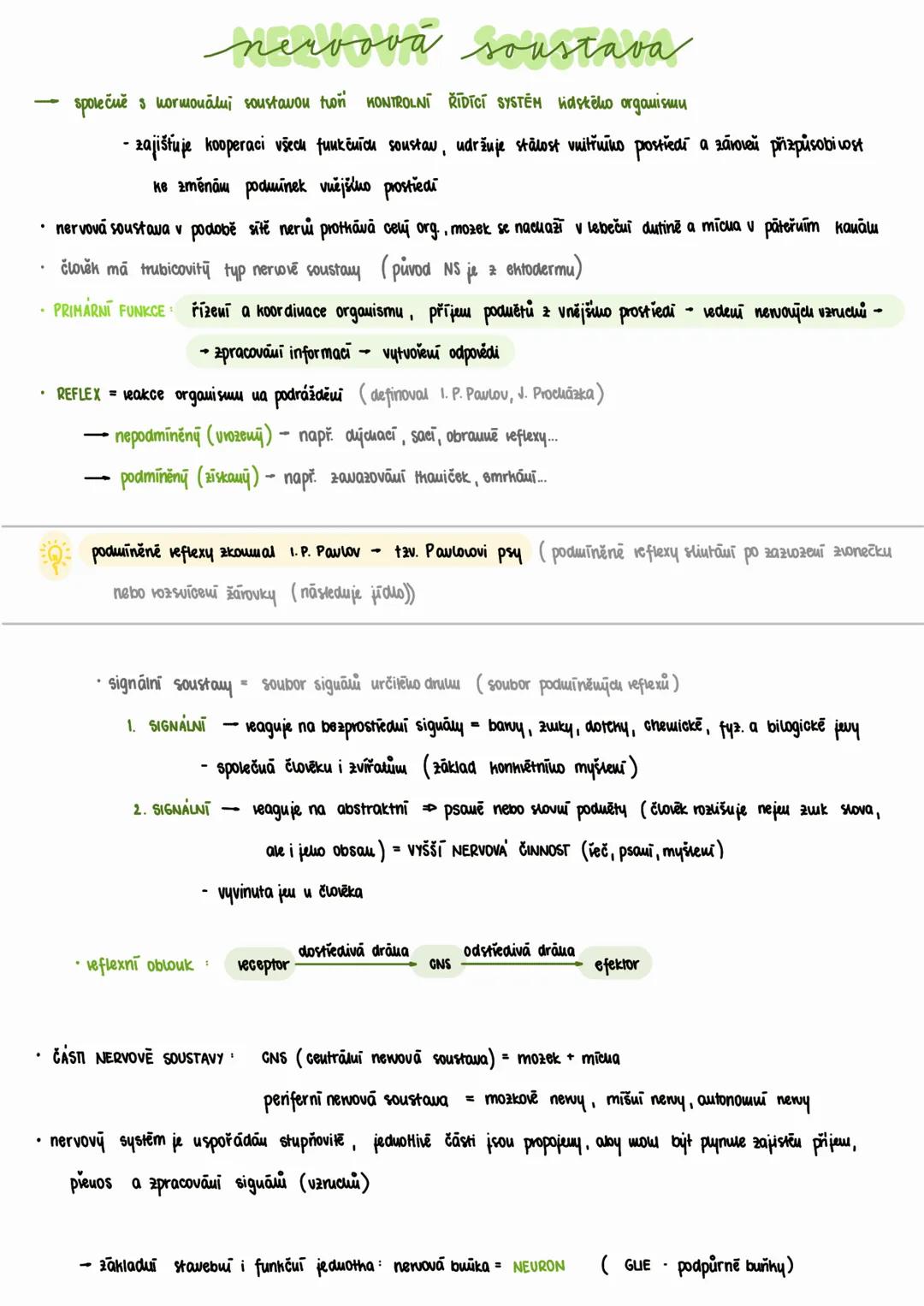 --- nervová soustava
společně s hormonální soustavou tvoří KONTROLNÍ ŘÍDÍCÍ SYSTÉM lidského organismu
- zajišťuje kooperaci všech funkčních