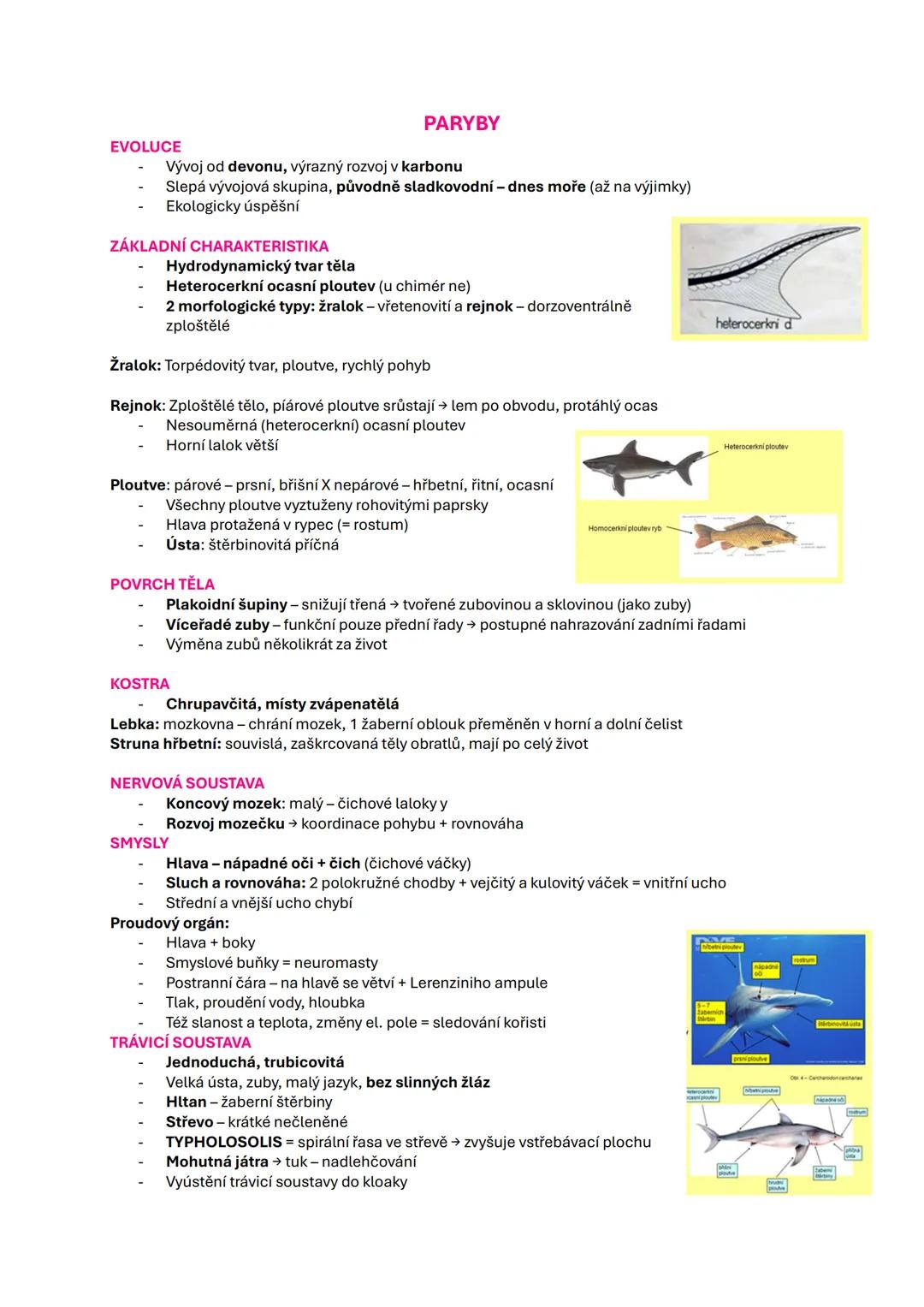 ZÁKLADNÍ ZNAKY OBRATLOVCŮ
VNITŘNÍ KOSTRA
Tvořená: pouze chrupavkou → kruhoústí, paryby, chrupavčité ryby
převážně kostmi → ostatní
ČLENĚNÍ
-