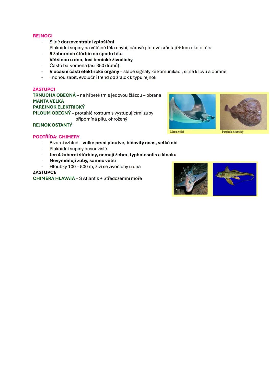 ZÁKLADNÍ ZNAKY OBRATLOVCŮ
VNITŘNÍ KOSTRA
Tvořená: pouze chrupavkou → kruhoústí, paryby, chrupavčité ryby
převážně kostmi → ostatní
ČLENĚNÍ
-