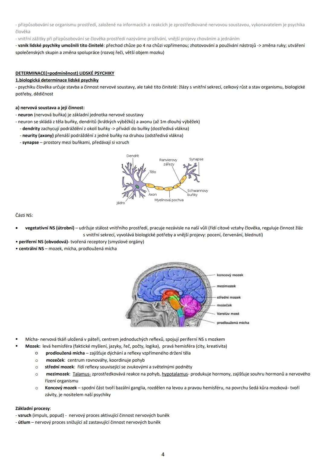 1.Předmět psychologie a význam psychologických poznatků, vznik
a historický vývoj psychiky, determinace lidské psychiky
Pojem a předmět psyc