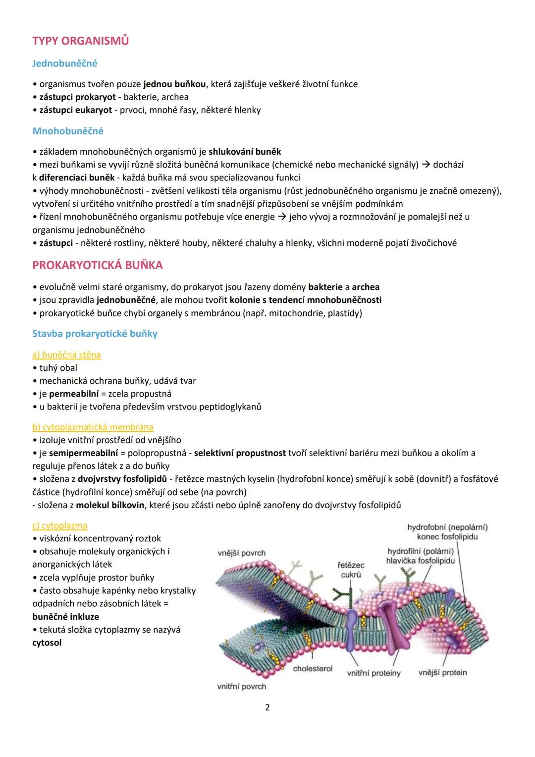 1. BUŇKA (cellula)
• buňka je základní stavební a funkční jednotka živých buněčných organismů
• věda zabývající se buňkou = cytologie (buněč