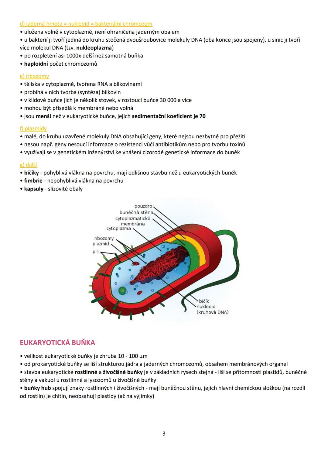 1. BUŇKA (cellula)
• buňka je základní stavební a funkční jednotka živých buněčných organismů
• věda zabývající se buňkou = cytologie (buněč