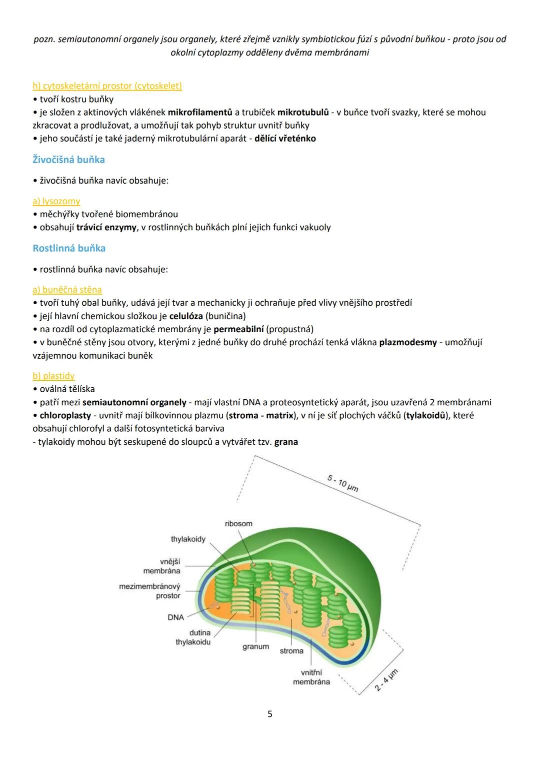 1. BUŇKA (cellula)
• buňka je základní stavební a funkční jednotka živých buněčných organismů
• věda zabývající se buňkou = cytologie (buněč