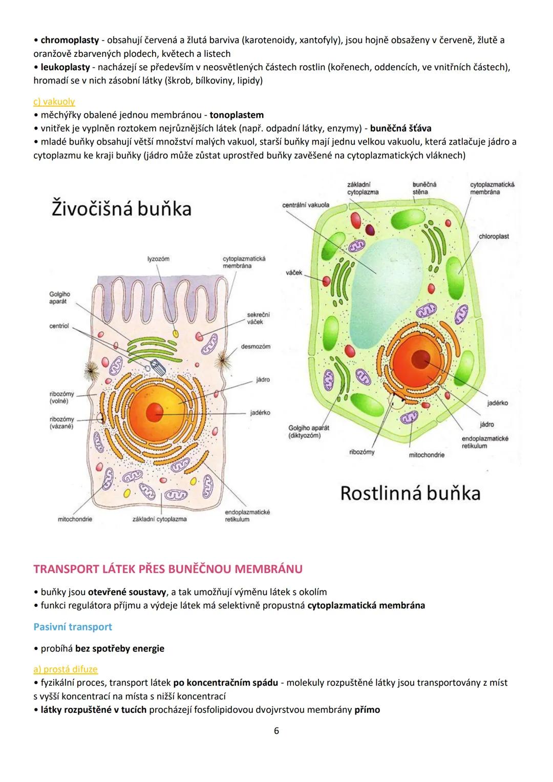 1. BUŇKA (cellula)
• buňka je základní stavební a funkční jednotka živých buněčných organismů
• věda zabývající se buňkou = cytologie (buněč
