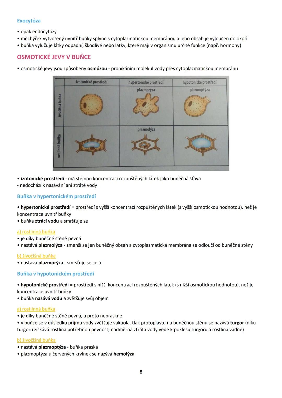 1. BUŇKA (cellula)
• buňka je základní stavební a funkční jednotka živých buněčných organismů
• věda zabývající se buňkou = cytologie (buněč