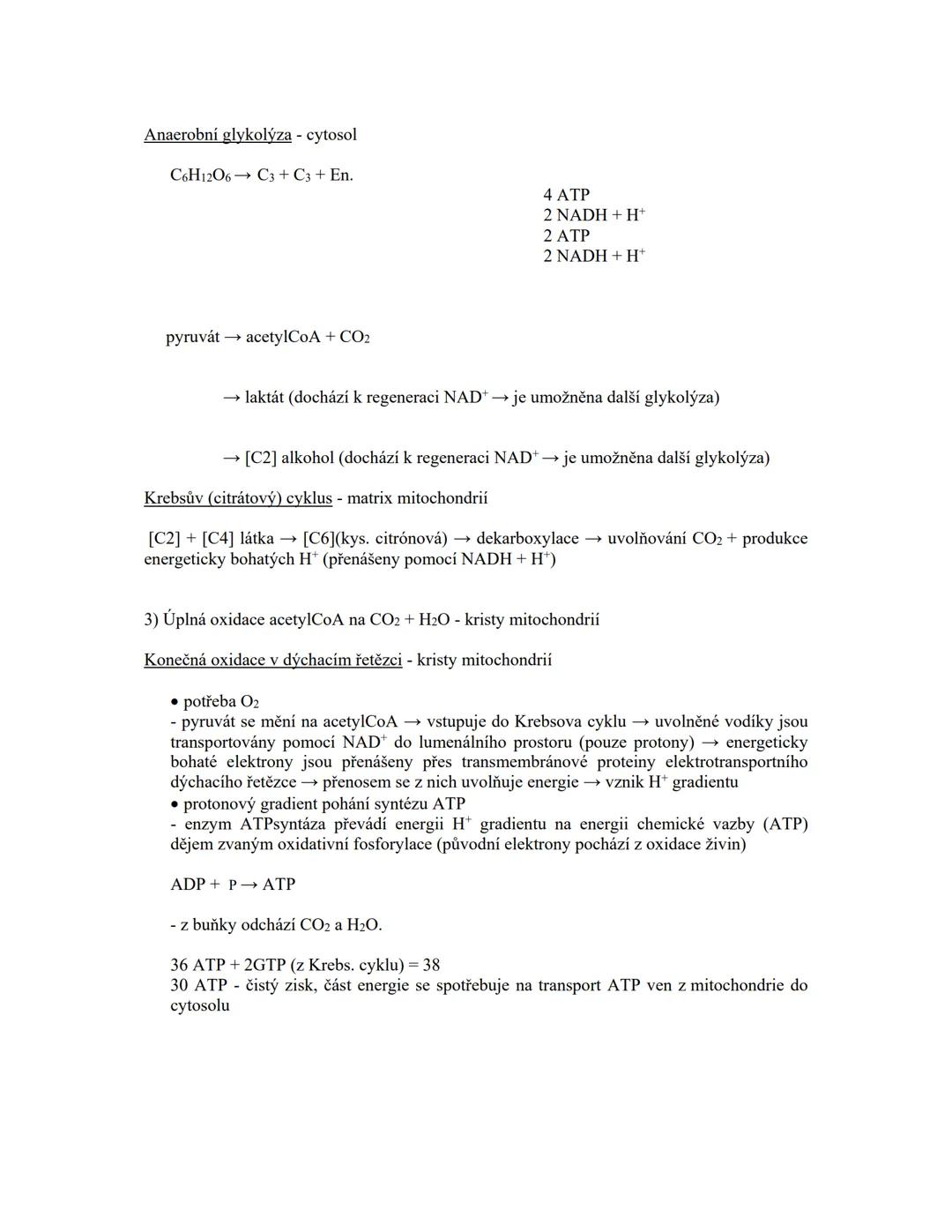 2. Životní funkce buňky
-výměna látek mezi buňkou a prostředím
-způsoby výživy buňky
-buněčný metabolismus
-buněčný cyklus
➤ Buňka = základn