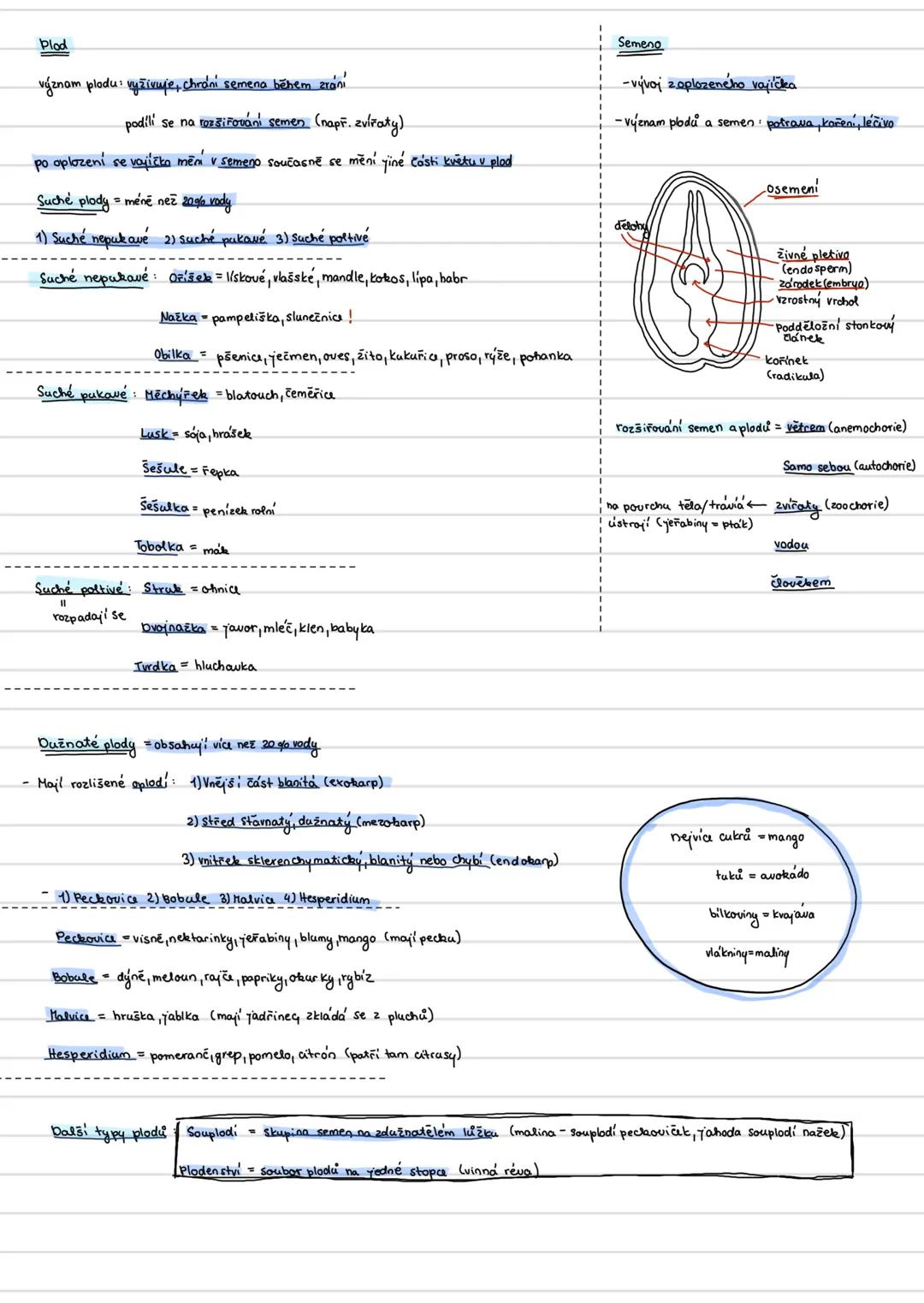 Plod
význam plodu: vyživuje, chrání semena během zrání
podílí se na rozšiřování semen (např. zvířaty)
po oplození se vajíčka mění v semeno s