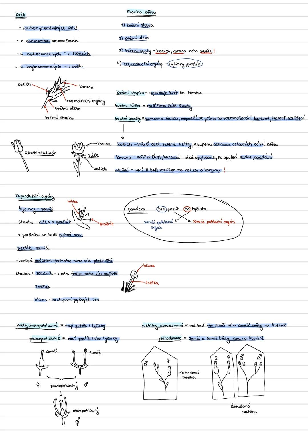 Plod
význam plodu: vyživuje, chrání semena během zrání
podílí se na rozšiřování semen (např. zvířaty)
po oplození se vajíčka mění v semeno s