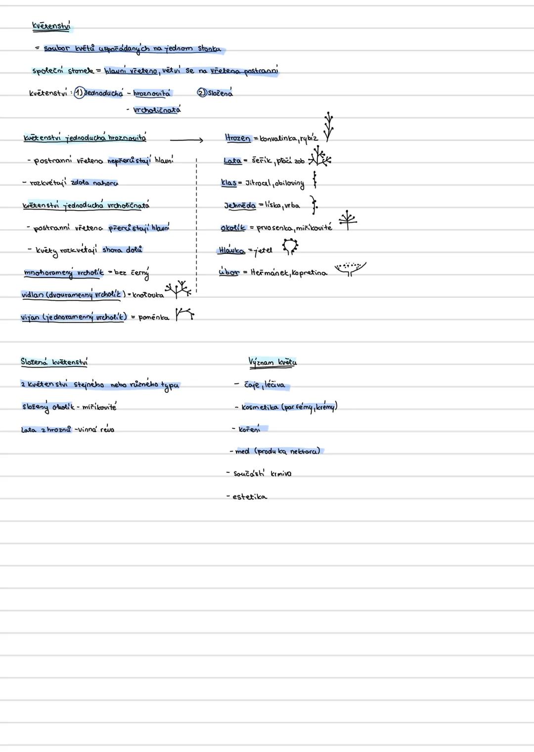 Plod
význam plodu: vyživuje, chrání semena během zrání
podílí se na rozšiřování semen (např. zvířaty)
po oplození se vajíčka mění v semeno s