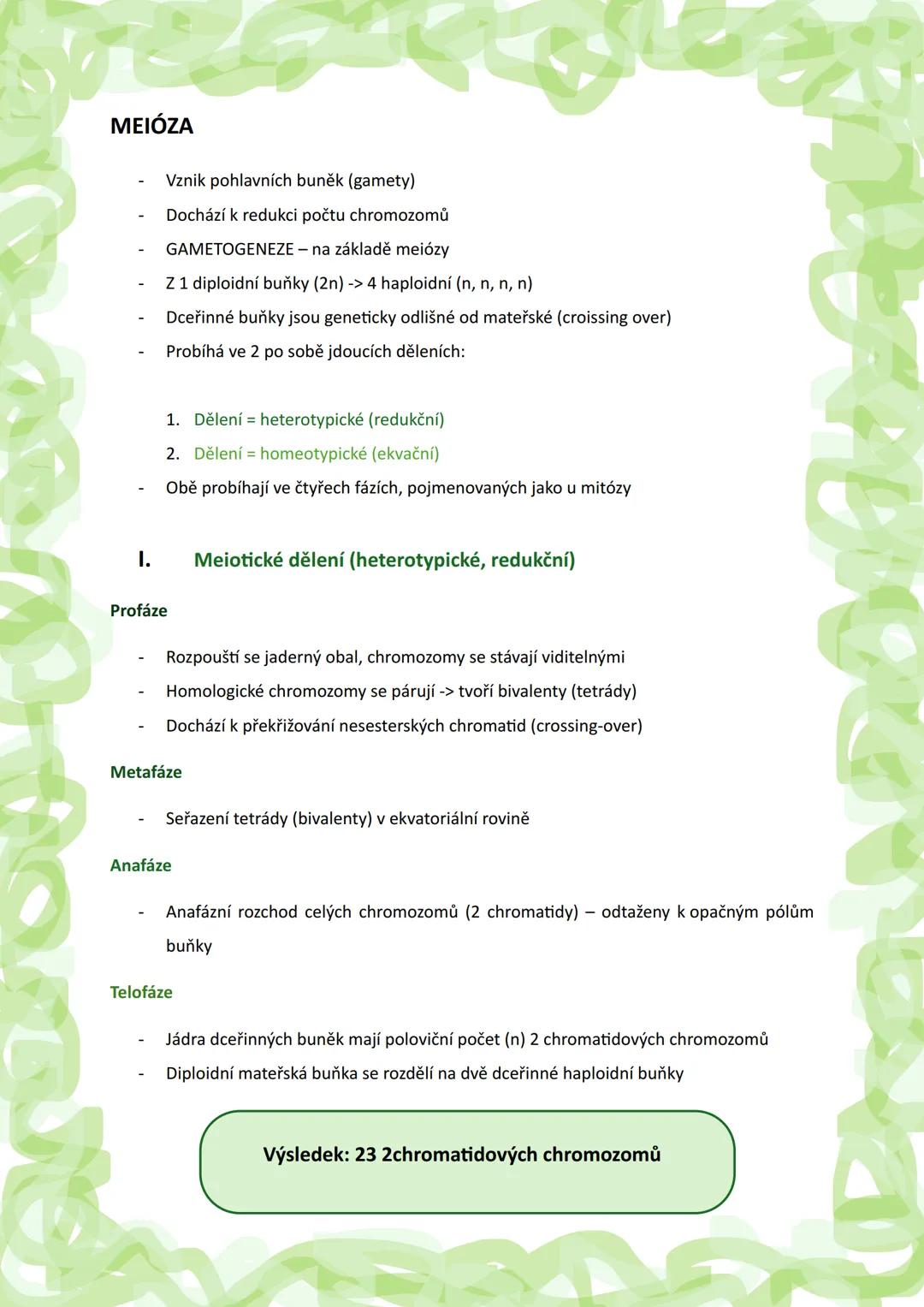2
BUŇKA
Definice: základní stavební, funkční a reprodukční jednotka organismu, která je schopná
samostatného života
2
Základní informace:
Vě