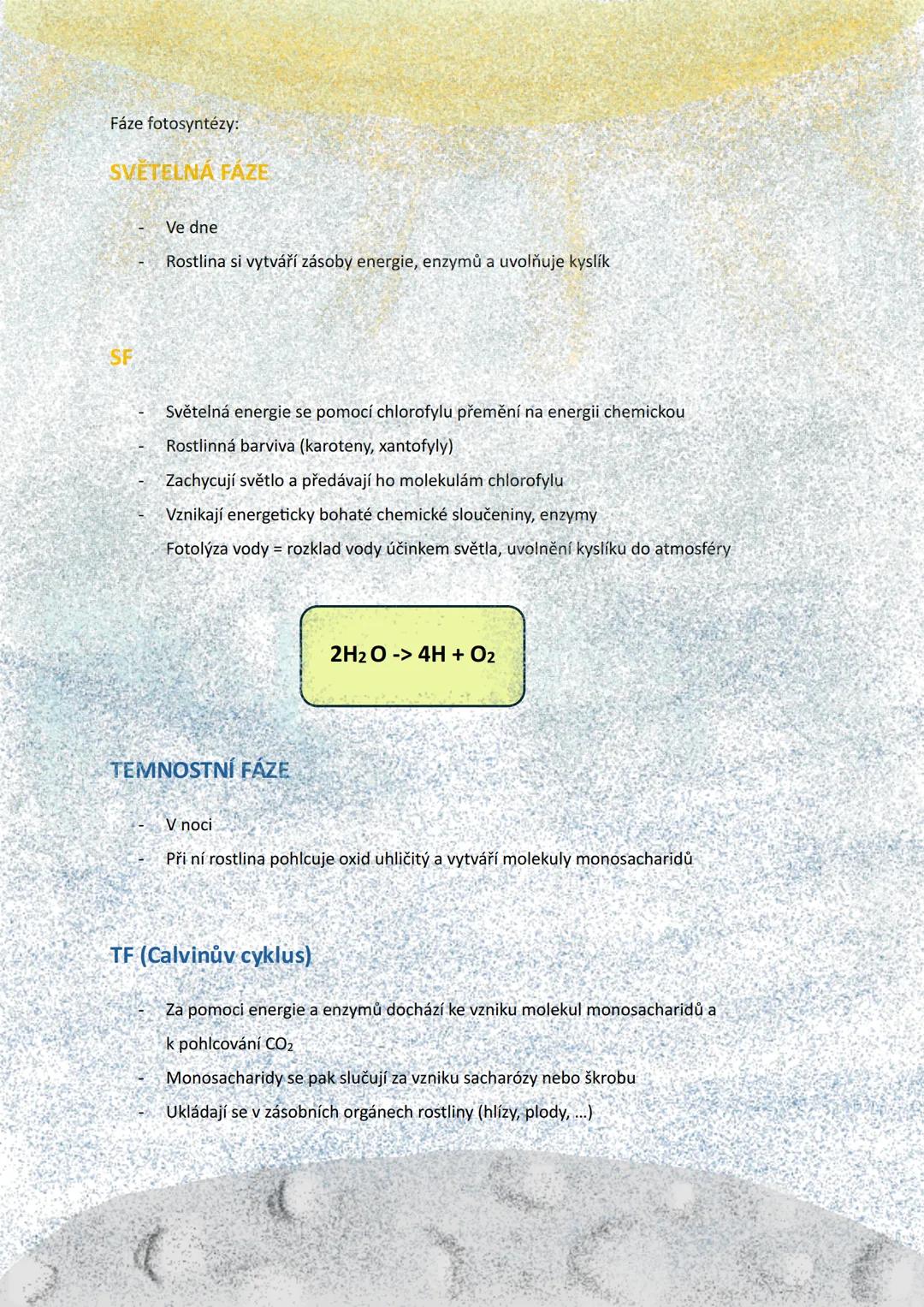 2
BUŇKA
Definice: základní stavební, funkční a reprodukční jednotka organismu, která je schopná
samostatného života
2
Základní informace:
Vě
