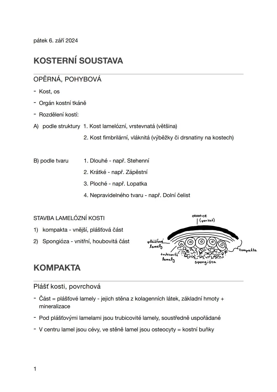 pátek 6. září 2024
KOSTERNÍ SOUSTAVA
OPĚRNÁ, POHYBOVÁ
- Kost, os
- Orgán kostní tkáně
- Rozdělení kostí:
A) podle struktury 1. Kost lamelózn