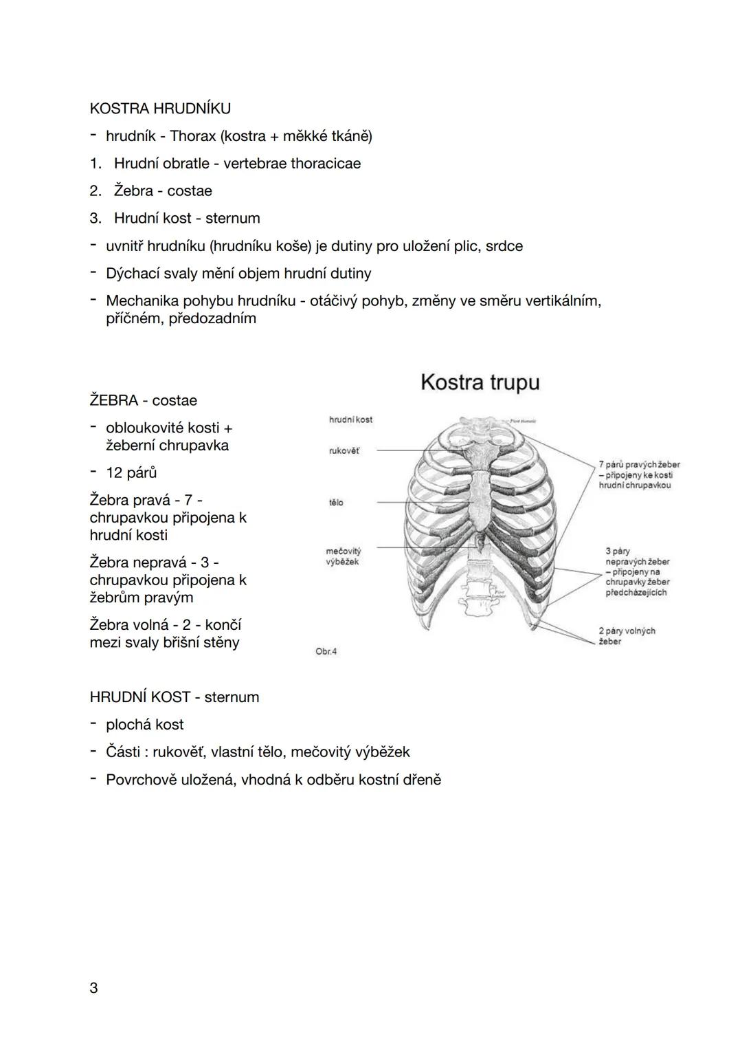 pátek 6. září 2024
COLUMNA VERTEBRALIS
PÁTEŘ
- Z 33-34 obratlů (proměnlivý počet má
kostrč)
- 7 krčních - vertebrae cervicales C1-C7
- 12 hr