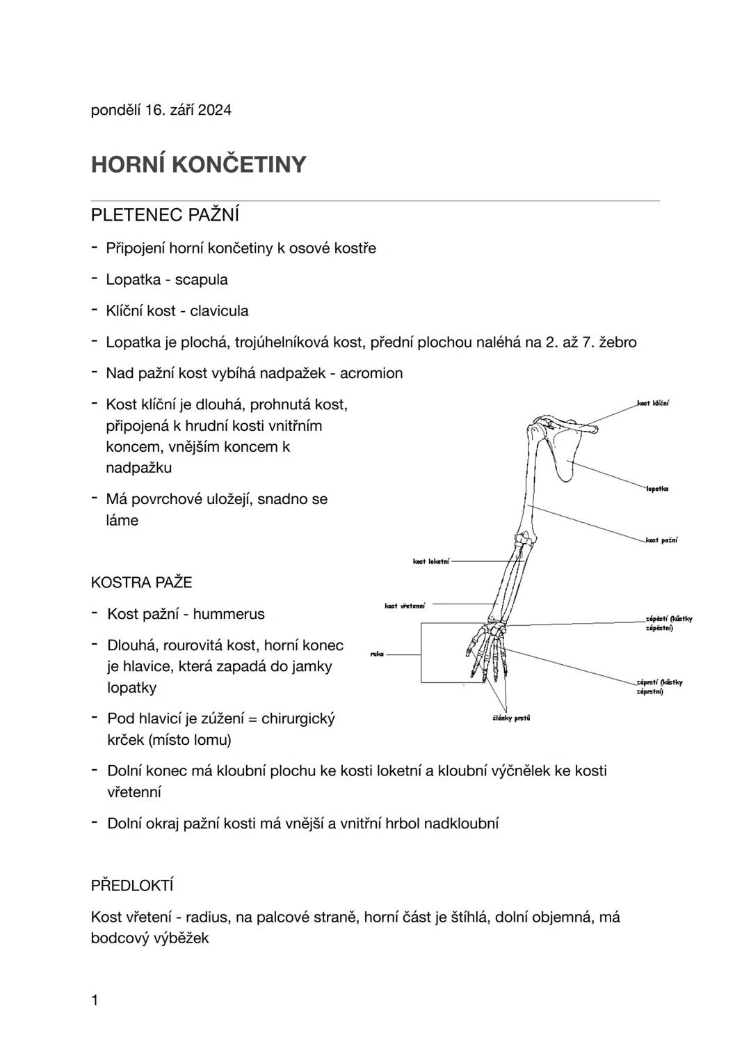 pondělí 16. září 2024
HORNÍ KONČETINY
PLETENEC PAŽNÍ
- Připojení horní končetiny k osové kostře
- Lopatka - scapula
- Klíční kost - clavicul
