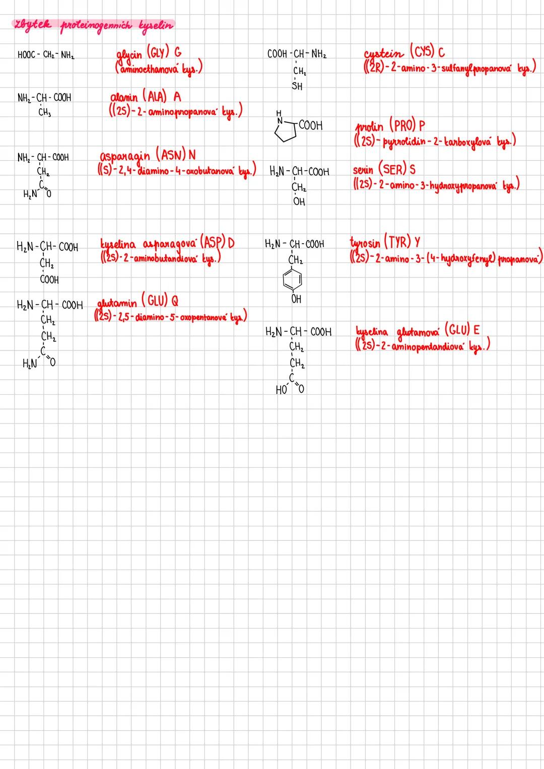## Bilkoviny
- proteiny
- makromolekulární sloučeniny - polykondenzáty aminokyselin
- biopolymery složené z jednoho nebo více polypeptidový