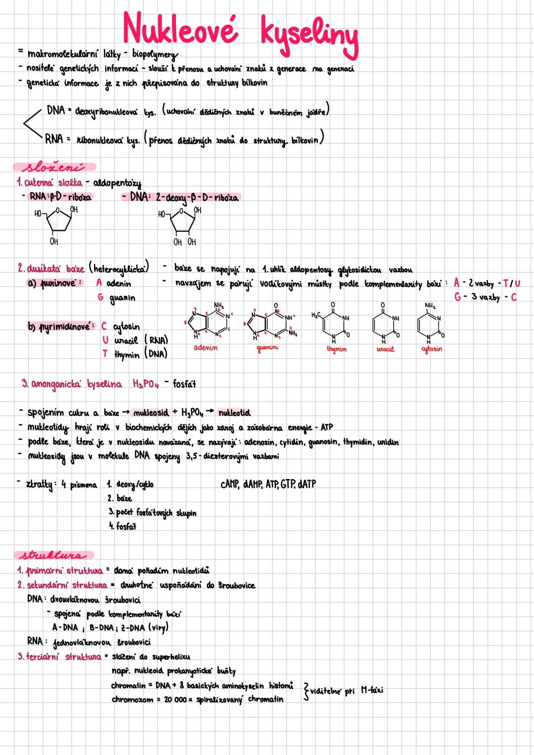 ## Bilkoviny
- proteiny
- makromolekulární sloučeniny - polykondenzáty aminokyselin
- biopolymery složené z jednoho nebo více polypeptidový