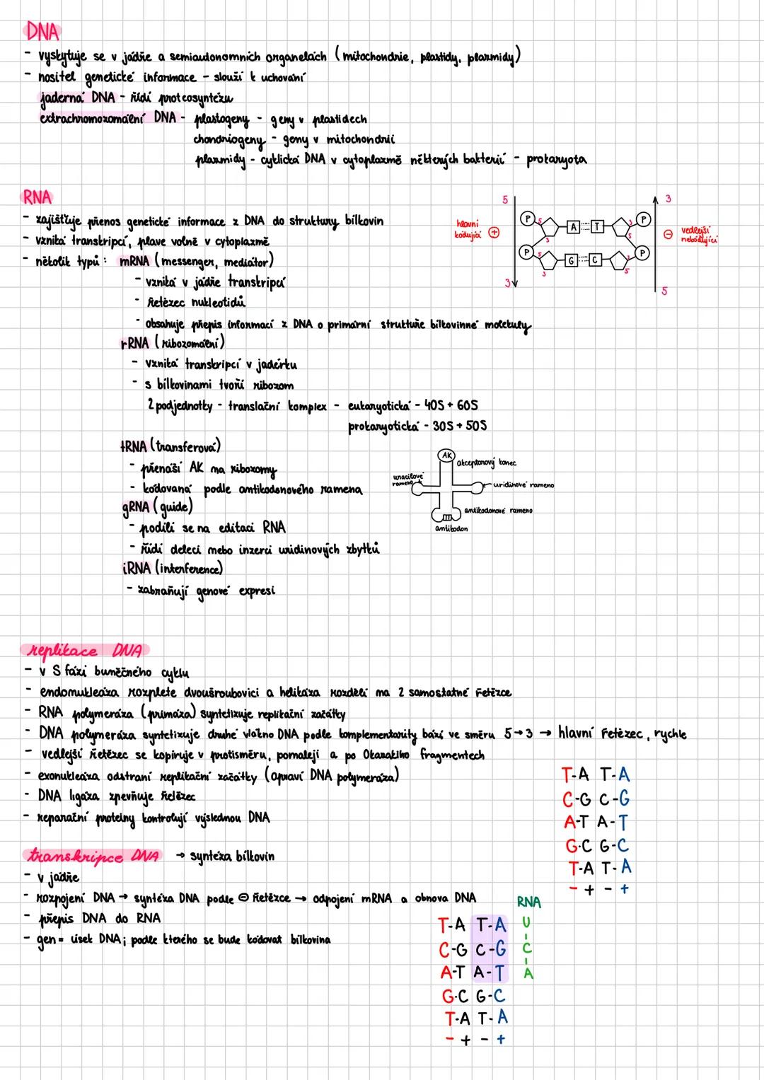 ## Bilkoviny
- proteiny
- makromolekulární sloučeniny - polykondenzáty aminokyselin
- biopolymery složené z jednoho nebo více polypeptidový
