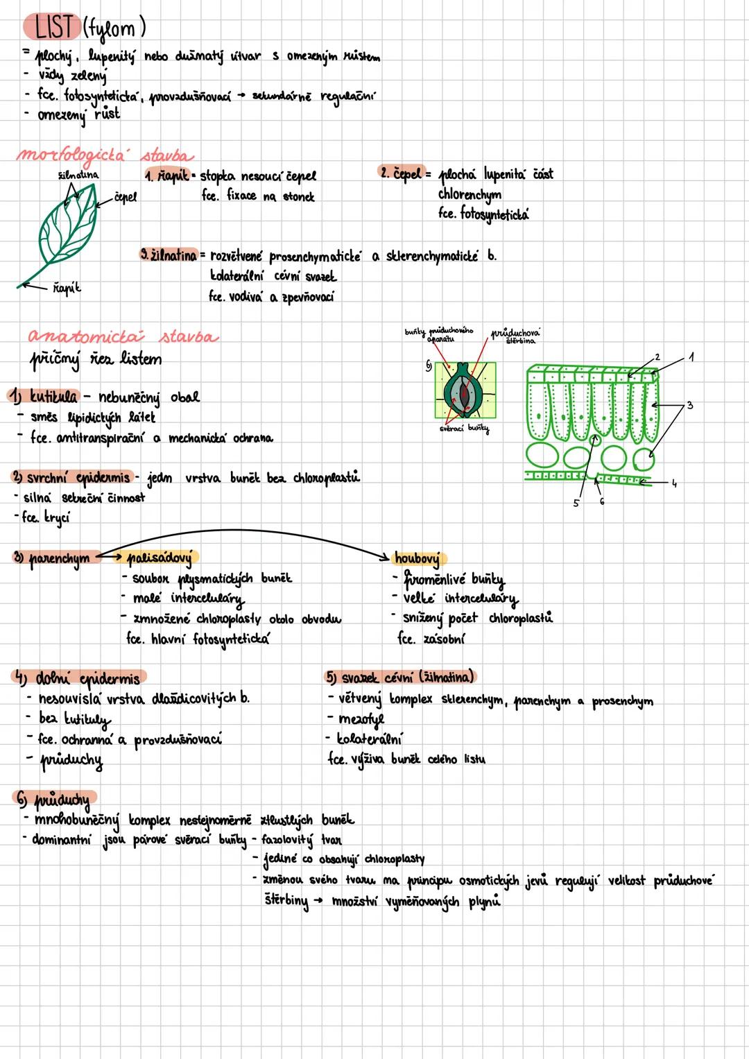 --- OCR Start ---
Vegetativní orgány
HISTOLOGIE
def: botanicka vēda ztoumající rostlinna pletiva
pledivo soubor buněk stejného tvaru, funkce