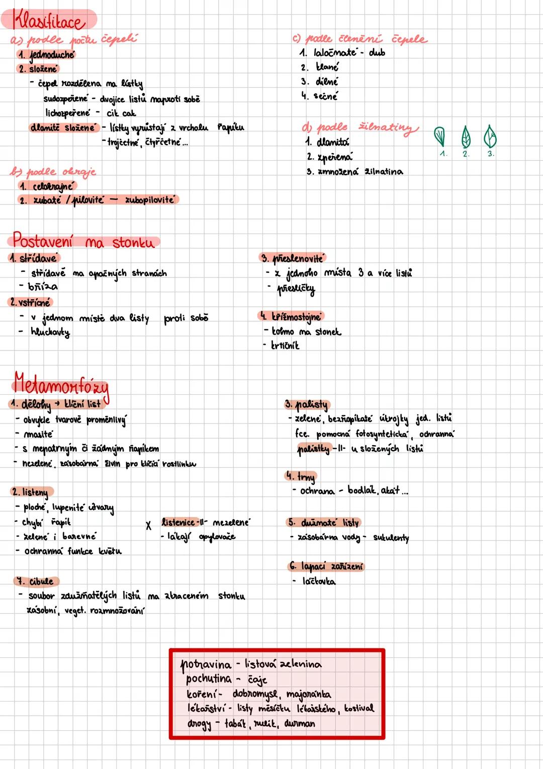 --- OCR Start ---
Vegetativní orgány
HISTOLOGIE
def: botanicka vēda ztoumající rostlinna pletiva
pledivo soubor buněk stejného tvaru, funkce