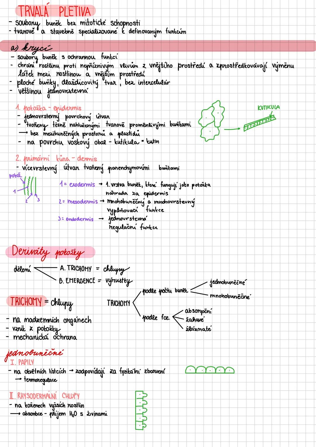 --- OCR Start ---
Vegetativní orgány
HISTOLOGIE
def: botanicka vēda ztoumající rostlinna pletiva
pledivo soubor buněk stejného tvaru, funkce