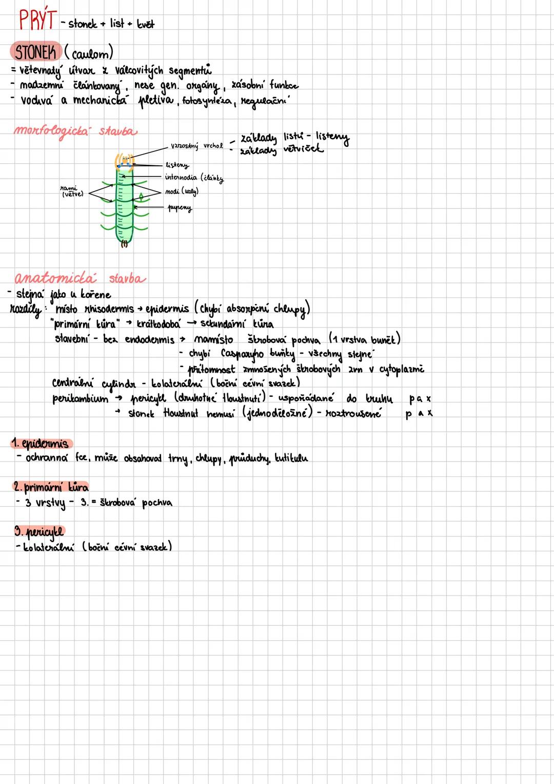--- OCR Start ---
Vegetativní orgány
HISTOLOGIE
def: botanicka vēda ztoumající rostlinna pletiva
pledivo soubor buněk stejného tvaru, funkce