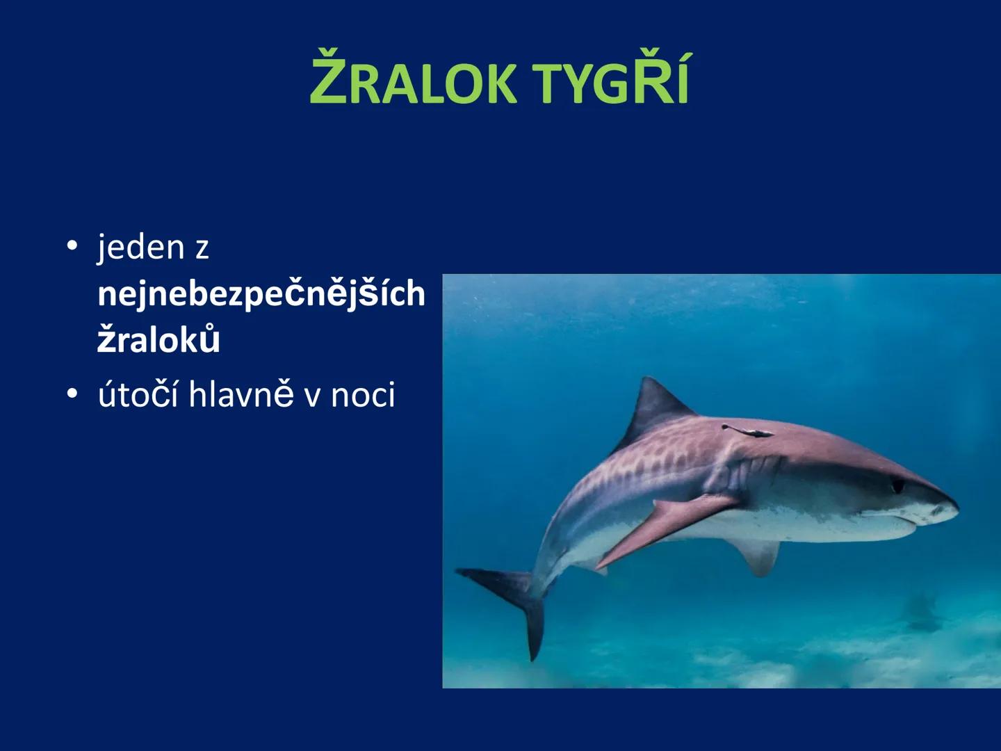 PARYBY Třída: PARYBY
• mořští, vzácně i sladkovodní
živočichové podobní rybám
• na rozdíl od ryb mají
chrupavčitou kostru
• nemají skřele, m