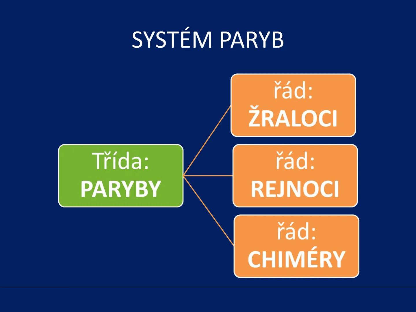 PARYBY Třída: PARYBY
• mořští, vzácně i sladkovodní
živočichové podobní rybám
• na rozdíl od ryb mají
chrupavčitou kostru
• nemají skřele, m