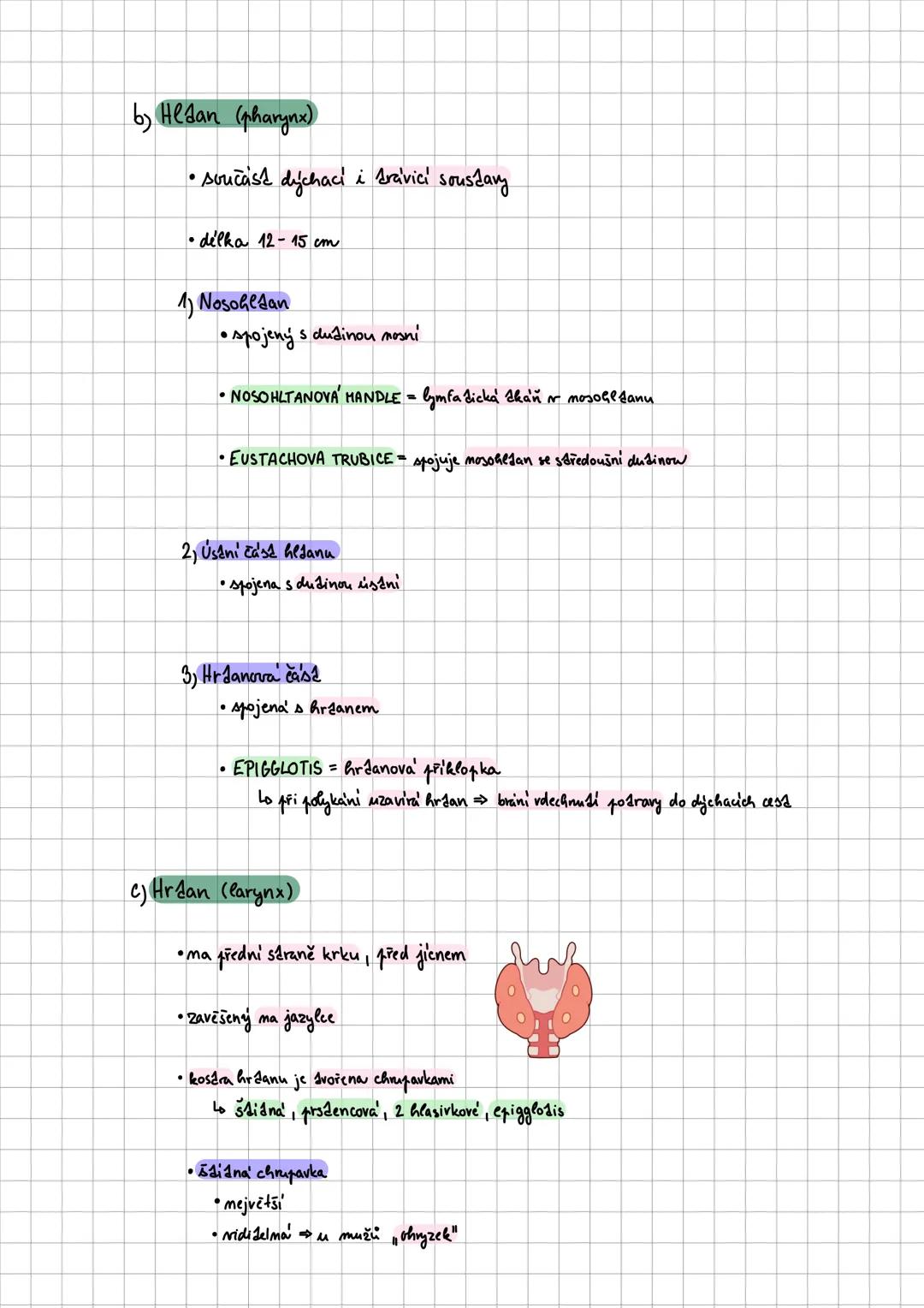 # COMPOSITION BOOK
100 SHEETS
9.75 X 7.5 IN / 24.76 X 19.0 CM # dýchací soustava
• zajišťuje výměnu plynů mezi organismem a mějším prostře