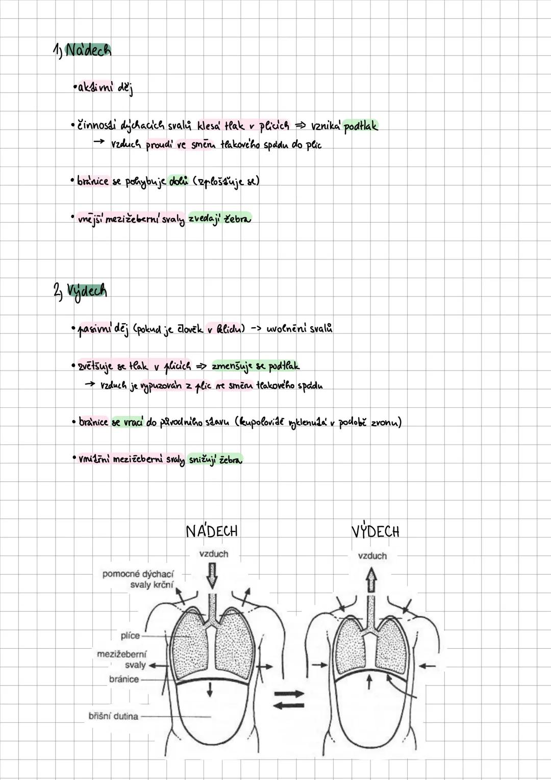 # COMPOSITION BOOK
100 SHEETS
9.75 X 7.5 IN / 24.76 X 19.0 CM # dýchací soustava
• zajišťuje výměnu plynů mezi organismem a mějším prostře