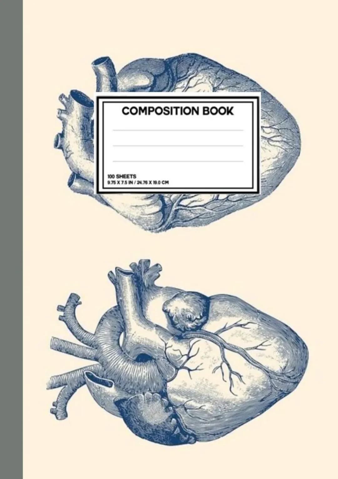 COMPOSITION BOOK
100 SHEETS
9.75 X 7.5 IN / 24.76 X 19.0 CM • Alergie
• nepřiměřena reakce organismu na alergen (latka vyvolávajíci alergii