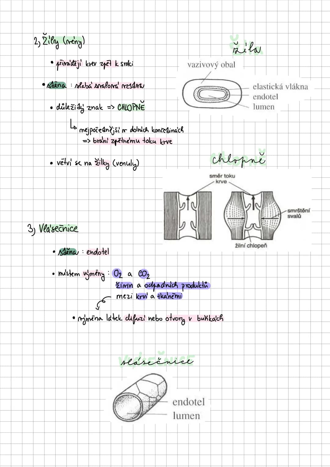 COMPOSITION BOOK
100 SHEETS
9.75 X 7.5 IN / 24.76 X 19.0 CM • Alergie
• nepřiměřena reakce organismu na alergen (latka vyvolávajíci alergii