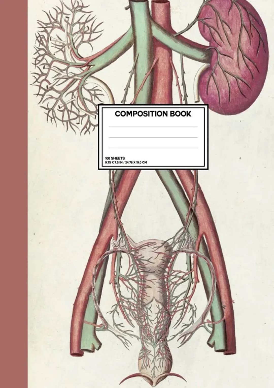 COMPOSITION BOOK
100 SHEETS
9.75 X 7.5 IN / 24.76 X 19.0 CM # vylučovací sous
• Funkce: 1) Exkrece = vylučování
• vylučování odpadnich pr