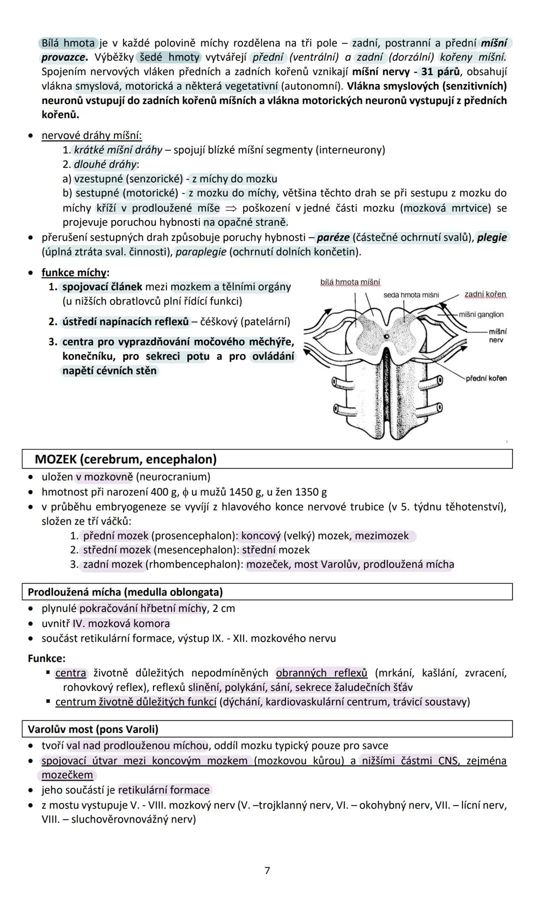 # NERVOVÁ SOUSTAVA (systema nervosum)
Nervová soustava ovládá přímo nebo nepřímo činnost všech orgánů v těle, vytváří chování
organismu a k