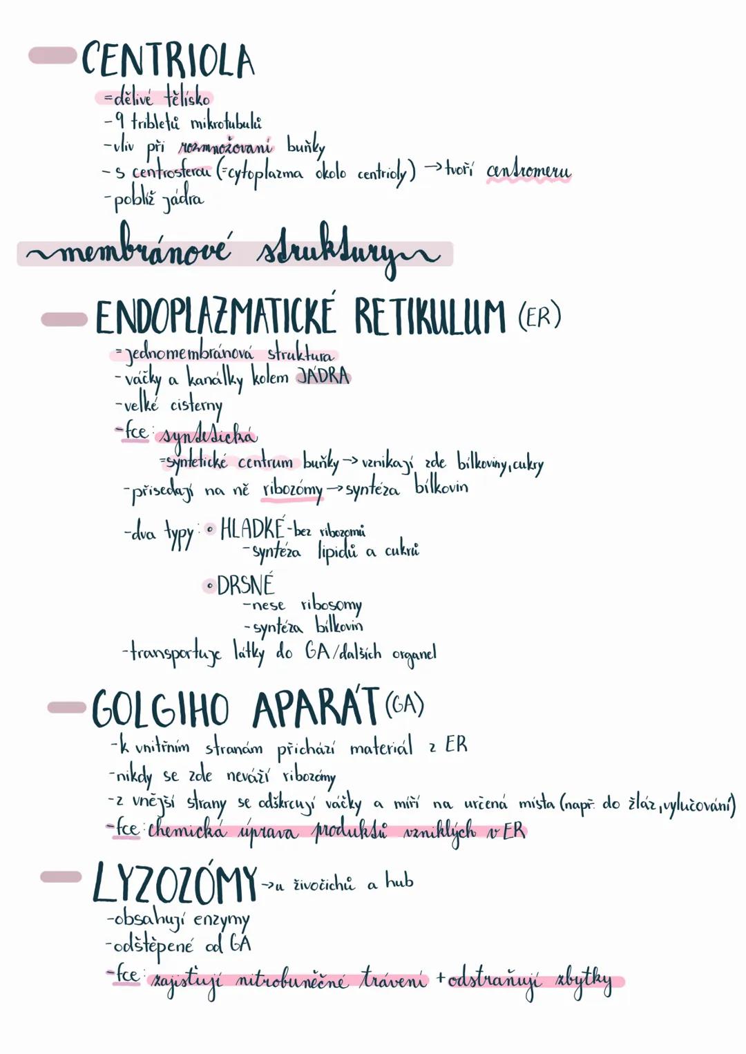 # BUŇKA
Základní stavební a funkční jednotka
-dělíme dva typy buněk:
1) PROKARYOTA
pro
buněční
- Jednobuněční
->nemaji membránové struktu