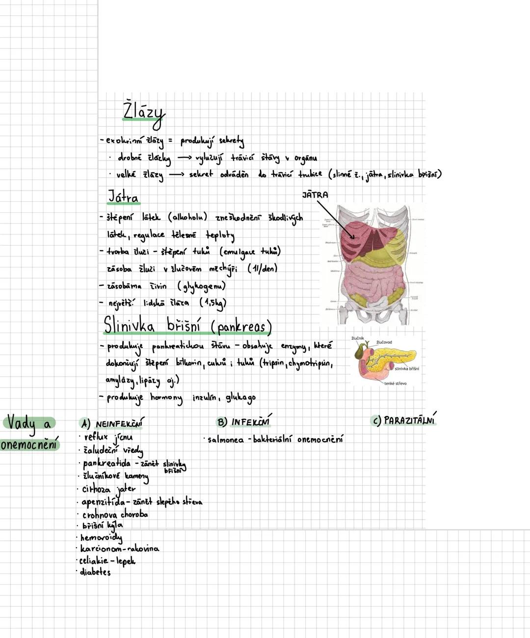 # TRÁVICÍ SOUSTAVA
- je trubice na zpracování potravy (ūstí do ní různé zlazy)
Funkce:
- příjem potravy
- trávení potravy
- vstřebávání lát
