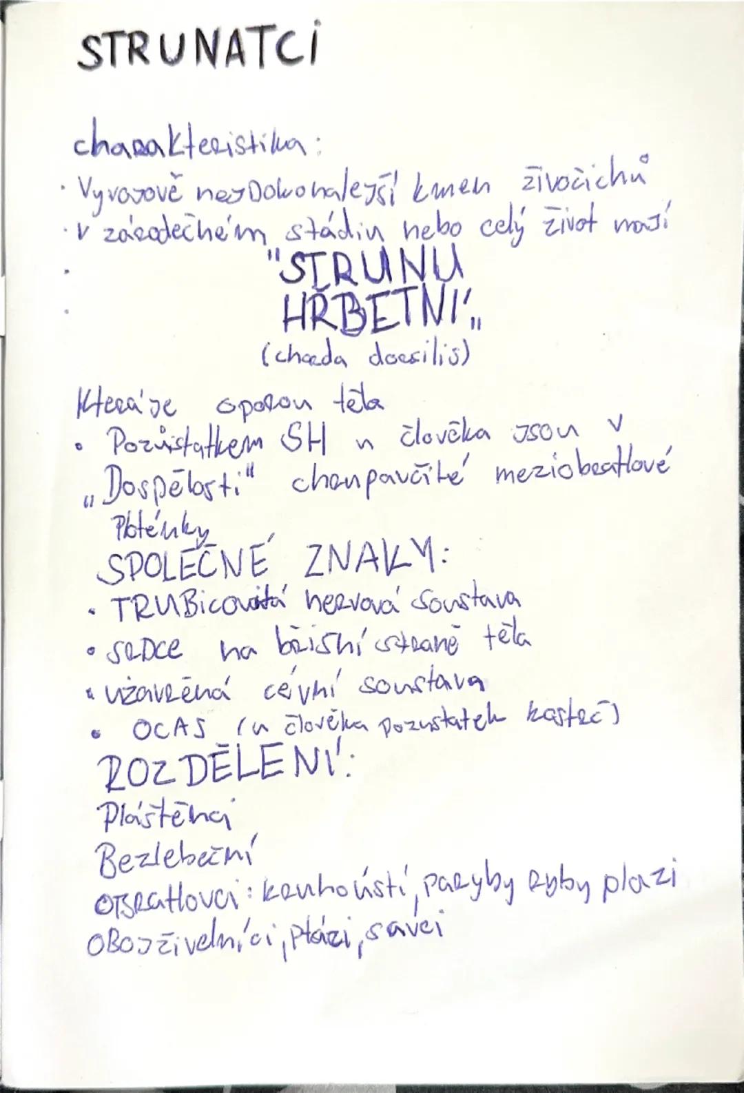 # STRUNATCI
charakteristika:
- Vyvozově nez Dokonaleysi kamen živočichů
- v zásadechém stádin nebo celý život masí
"STRUNU
HRBETNI"
(chaed