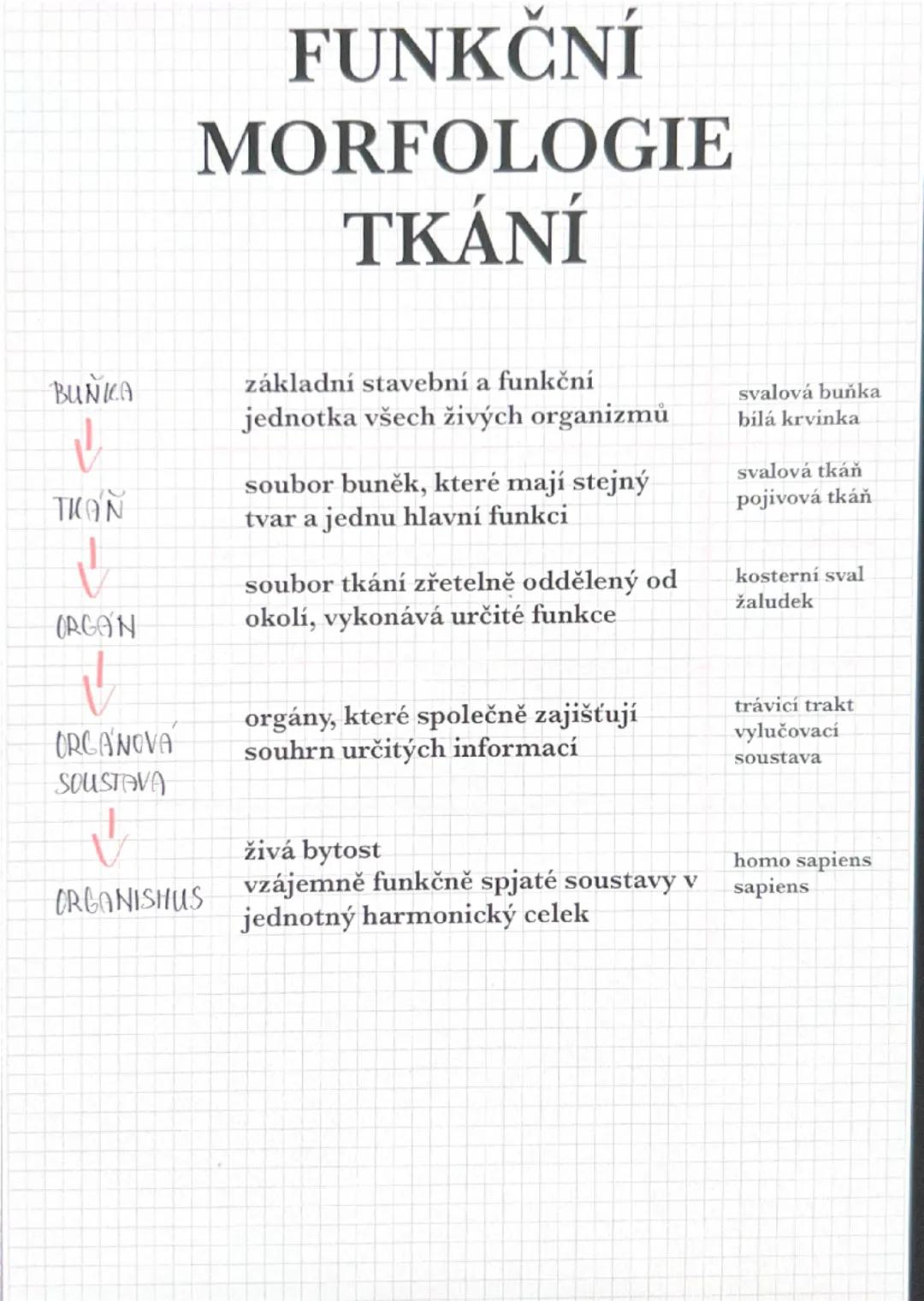 FUNKČNÍ
MORFOLOGIE
TKÁNÍ
BUNKA
↓
TKÁN
↓
základní stavební a funkční
jednotka všech živých organizmů
soubor buněk, které mají stejný
tvar a j
