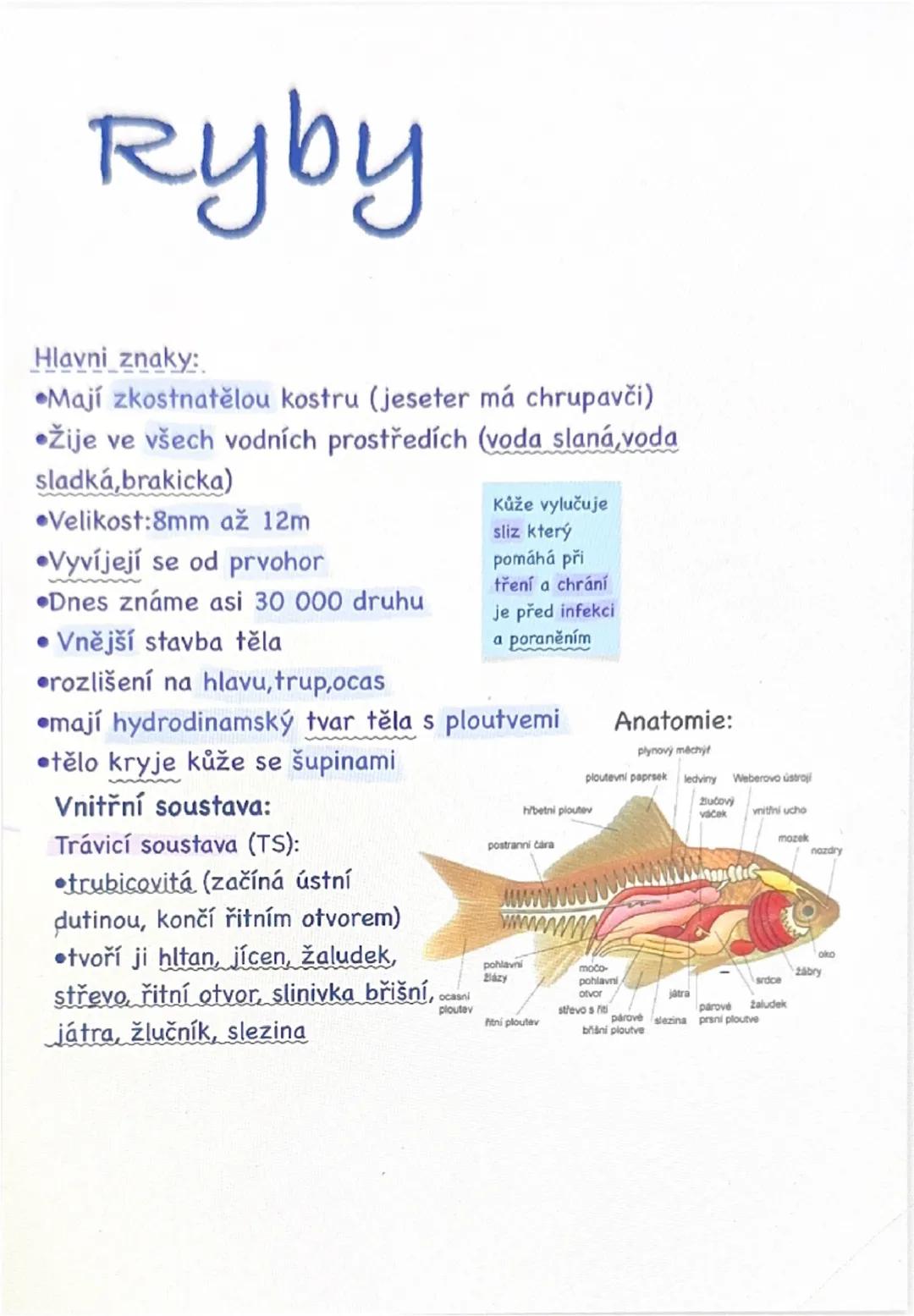 # Ryby
Hlavni znaky:
- Mají zkostnatělou kostru (jeseter má chrupavči)
- Žije ve všech vodních prostředích (voda slaná, voda
sladká,brakick