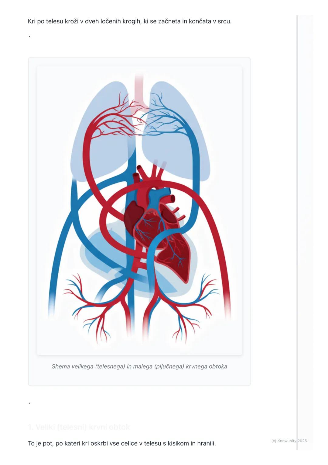 # Obtočilni sistem
Uvod v obtočilni sistem
Obtočilni sistem je transportni sistem našega telesa. Predstavljam si ga kot
mrežo cest (krvne